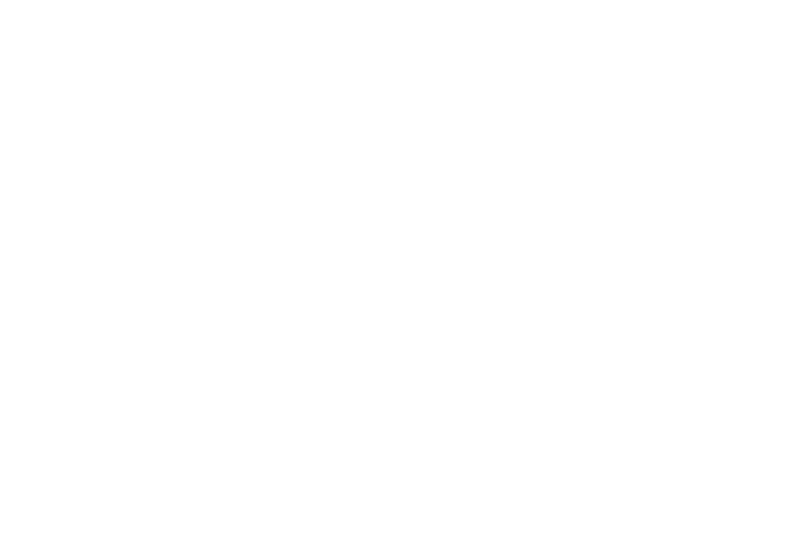 Logo Gino D'Odorico RE/MAX Cosmopolita